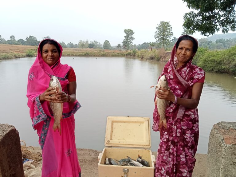 मत्स्य पालन बना ग्रामीण समृद्धि का सशक्त माध्यम प्रधानमंत्री मत्स्य संपदा योजना से बढ़ रही किसानों की आय, आत्मनिर्भर बन रहे मत्स्यपालक
